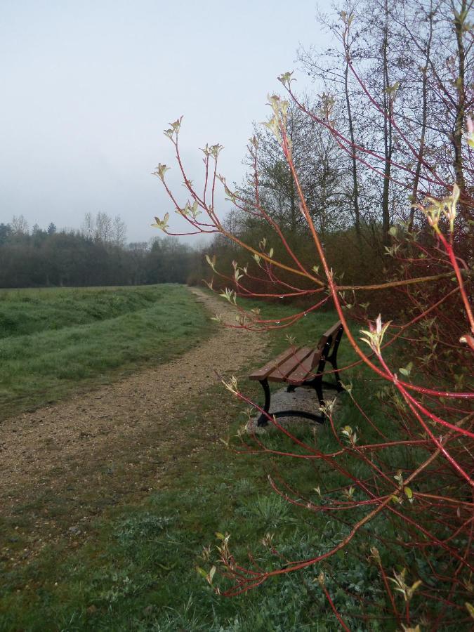 Do Mi Si La Do Re Gite Partage Saint-Carreuc Zewnętrze zdjęcie